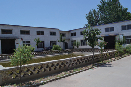 ��˾����